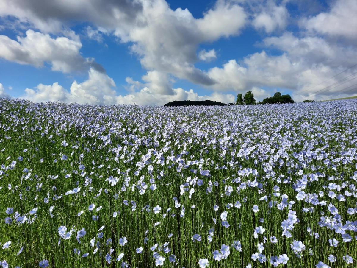 Le Clos Brayon Saint-Honore  ภายนอก รูปภาพ