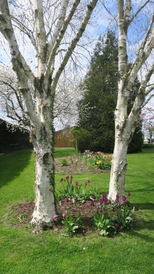 Le Clos Brayon Saint-Honore  ภายนอก รูปภาพ